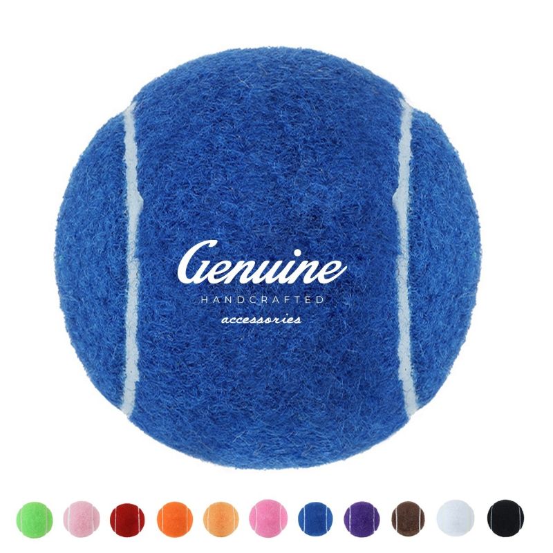 Dog Fetch Tennis Ball